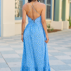 4-30_Nashville_HB_04-21-26_18060__219944.png Madeline Blue Daisy Maxi Dress SALE